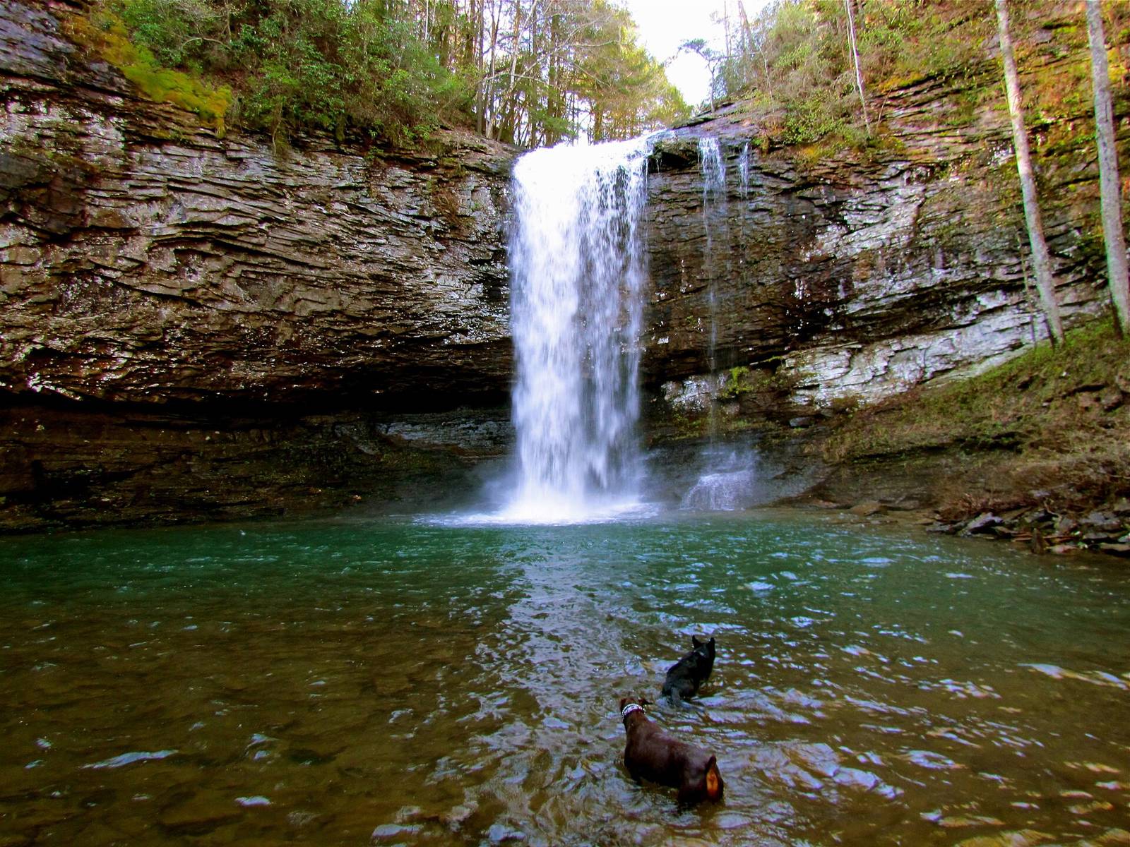 Cherokee Falls, Cloudland Canyon State Park