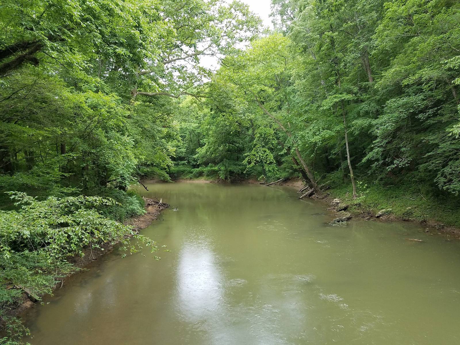 South Chickamauga Creek at Audubon Acres