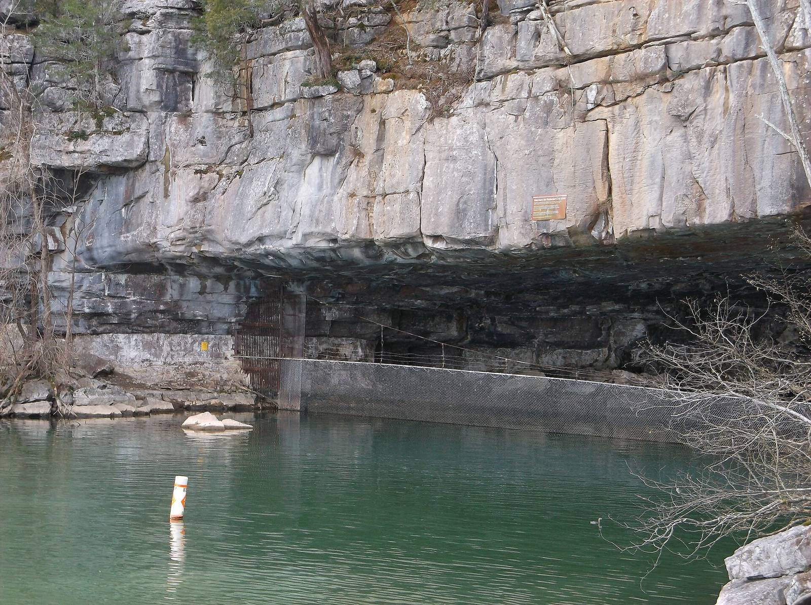 Nickajack Cave cliffline on Nickajack Lake, Marion County