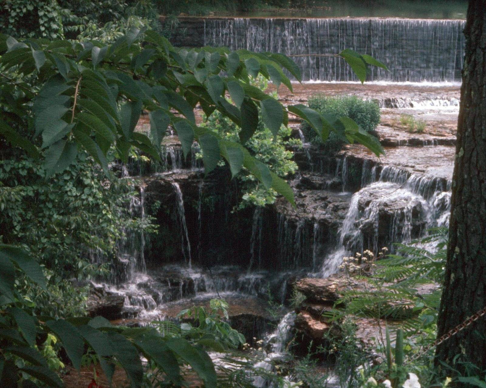 Waterfall along the Fiery Gizzard Trail, South Cumberland State Park