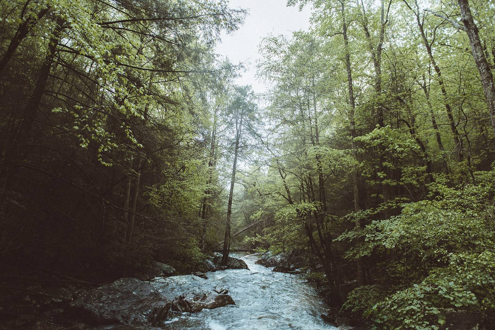 Rainbow Lake Trail, Signal Mountain