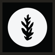 Oaks Coffee House logo